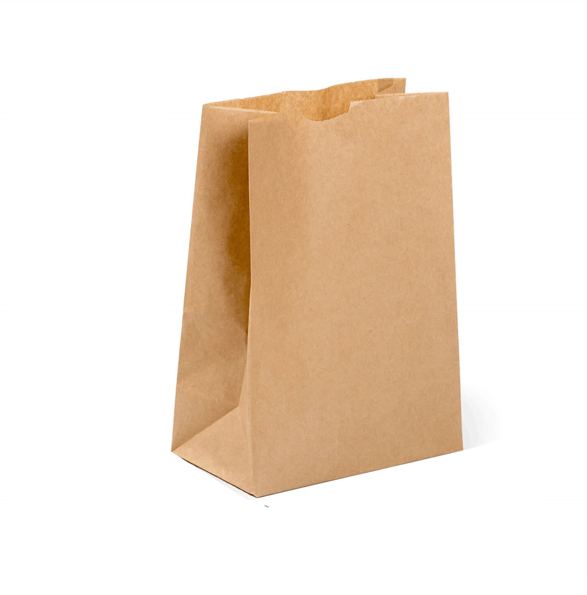 Kraft Paper Bag (Large) - No Handles (250's)