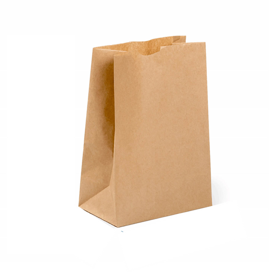 Kraft Paper Bag (Large) - No Handles (250's)