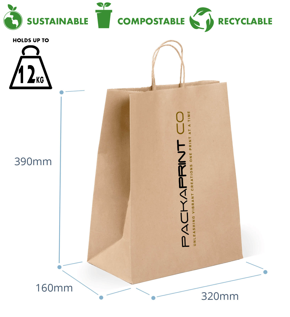 Kraft Paper Bag (Large) - Twist Handles (250'S)