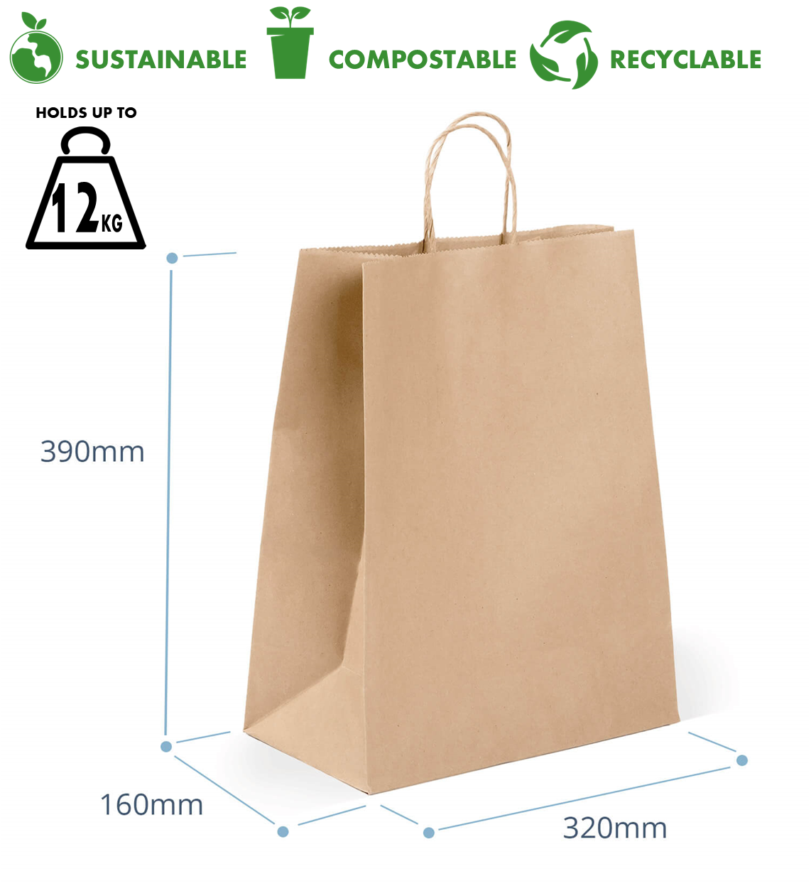 Kraft Paper Bag (Large) - Twist Handles (250'S)