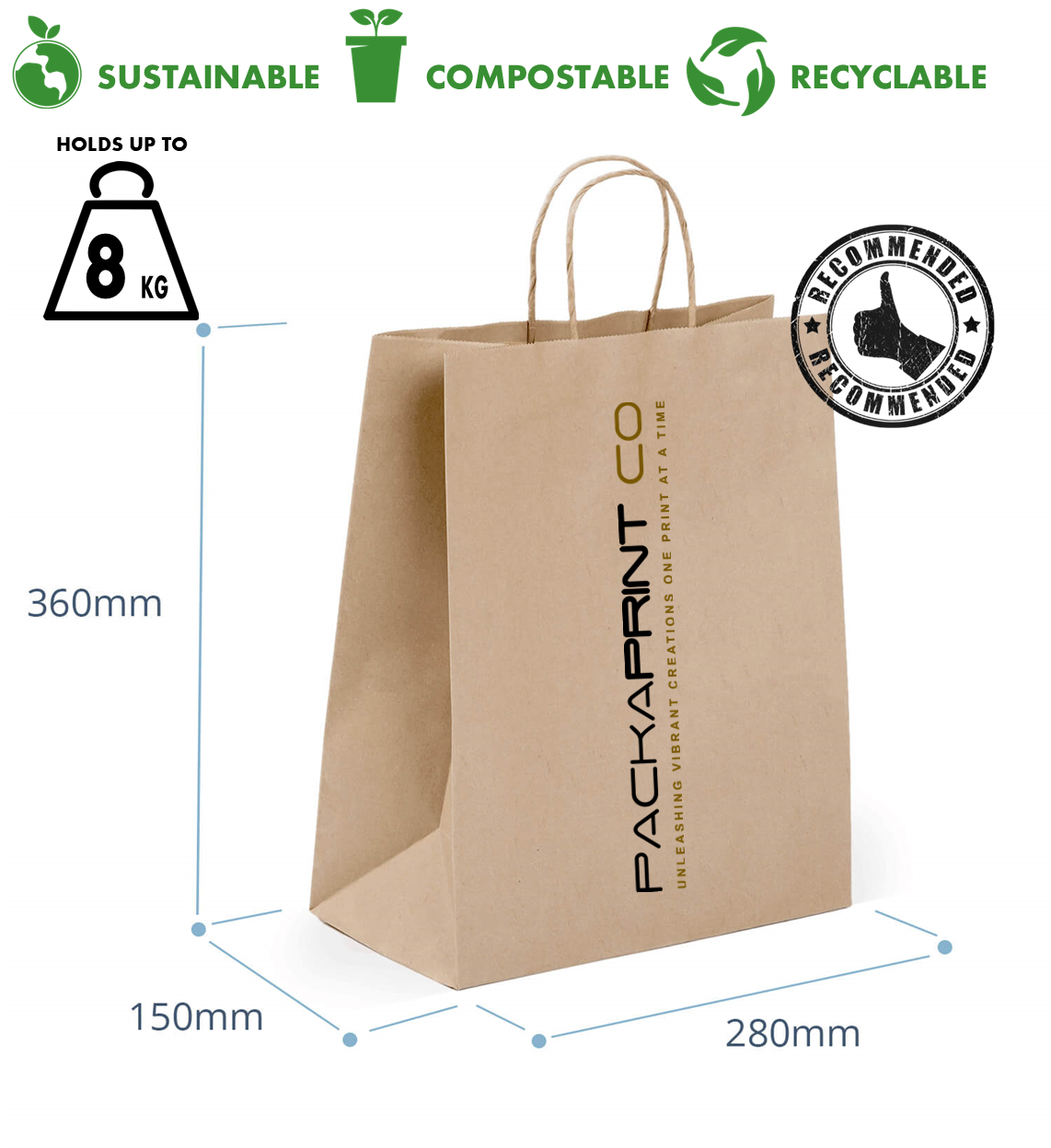 Kraft Paper Bag (Medium)- Twist Handle (250'S)