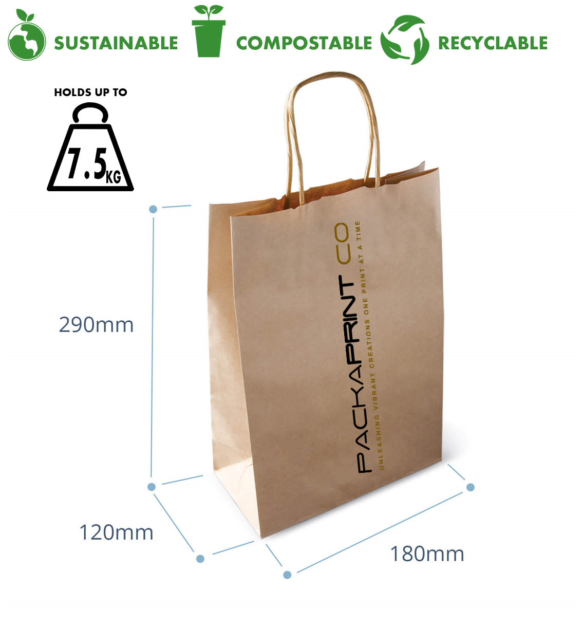 Kraft Paper Bag (Small) - Twist Handle (200'S)