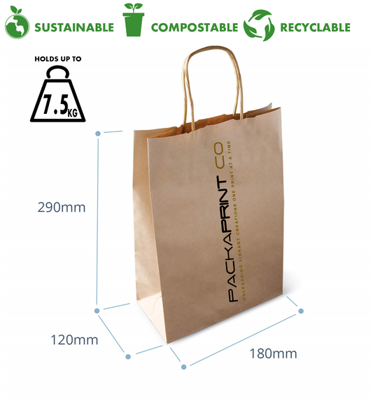 Kraft Paper Bag (Small) - Twist Handle (200'S)