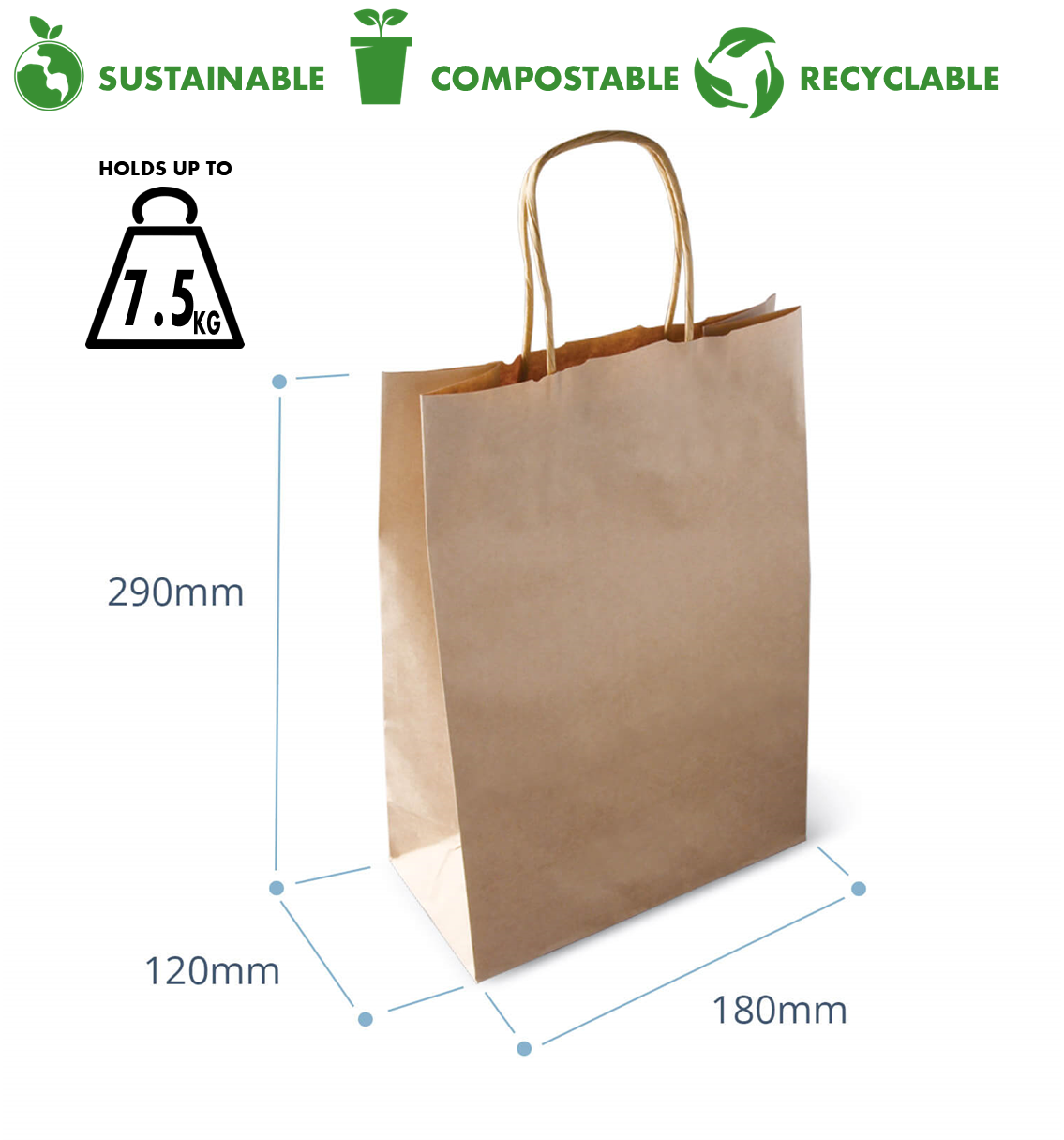 Kraft Paper Bag (Small) - Twist Handle (200'S)